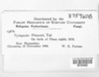 Image Associated With the Occurence